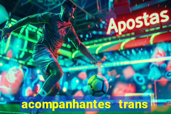 acompanhantes trans baixada fluminense